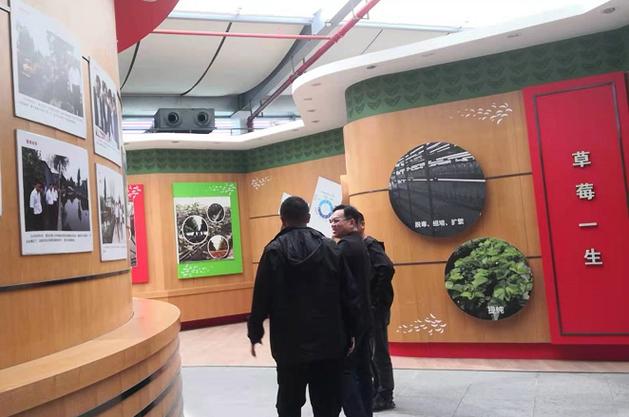 管理咨询可研项目部赴嘉兴嘉善开展项目调研工作